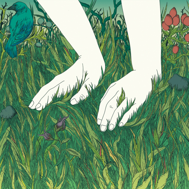 Hijo de la Tormenta - El Manto de la Especie - cover